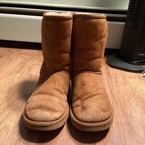 Womens Size 9 Brown Uggs, Short